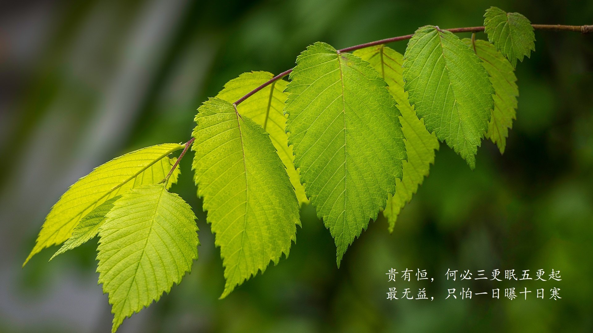 三轮车发电机如何接线（三轮车发电机最简单三个步骤）